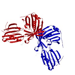 Image of CATH 2v42