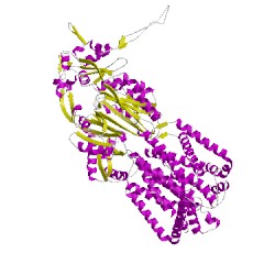 Image of CATH 2v50E