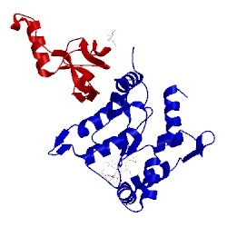 Image of CATH 2v5e