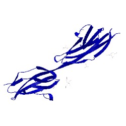 Image of CATH 2v5t