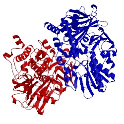 Image of CATH 2v60