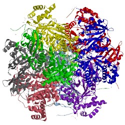 Image of CATH 2v67