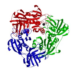 Image of CATH 2v7u