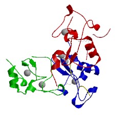 Image of CATH 2v83