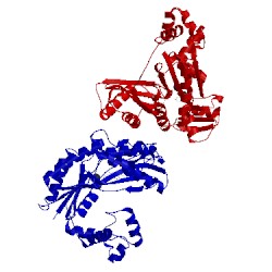 Image of CATH 2v9w