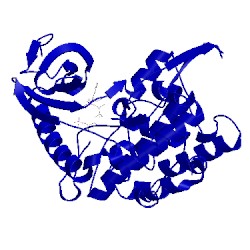 Image of CATH 2vag