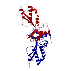Image of CATH 2vbj