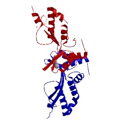 Image of CATH 2vbl