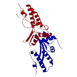 Image of CATH 2vbo