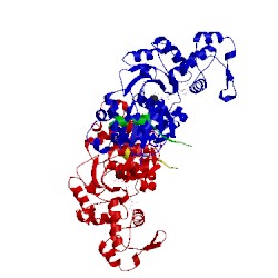 Image of CATH 2vcp