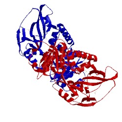 Image of CATH 2vcy