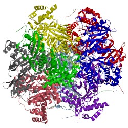 Image of CATH 2vdi