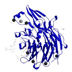 Image of CATH 2vdk