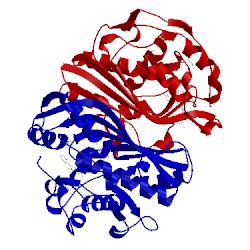 Image of CATH 2vf0