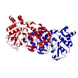 Image of CATH 2vhd