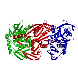 Image of CATH 2vhj