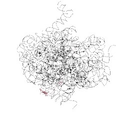Image of CATH 2vhm