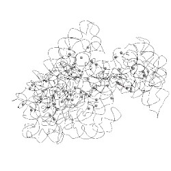 Image of CATH 2vhp