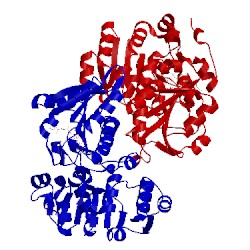 Image of CATH 2vhv