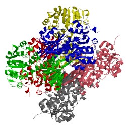 Image of CATH 2vhx