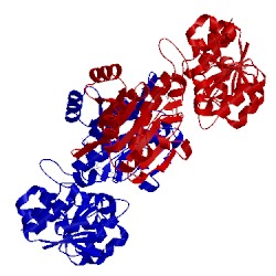 Image of CATH 2vhz