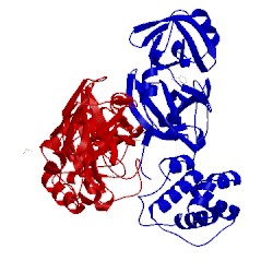 Image of CATH 2vj1