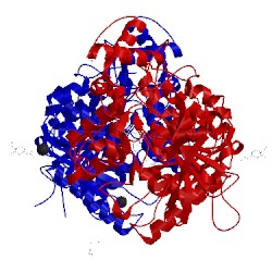 Image of CATH 2vjb