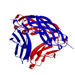 Image of CATH 2vkw