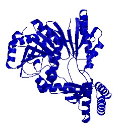 Image of CATH 2vl7