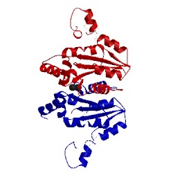 Image of CATH 2vli