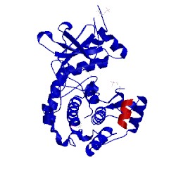 Image of CATH 2vnw