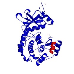 Image of CATH 2vnw