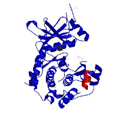 Image of CATH 2vo6