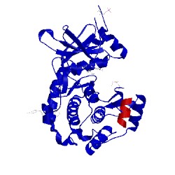 Image of CATH 2vo7