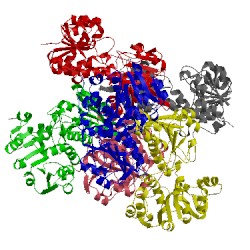 Image of CATH 2voe