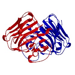 Image of CATH 2vok