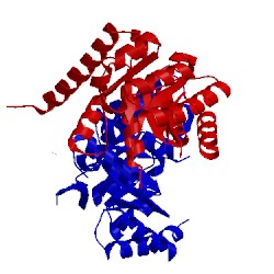 Image of CATH 2vp8