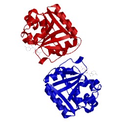 Image of CATH 2vq3
