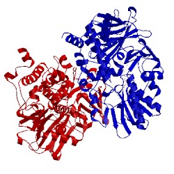 Image of CATH 2vrl