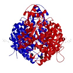 Image of CATH 2vt6