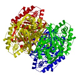 Image of CATH 2vu1