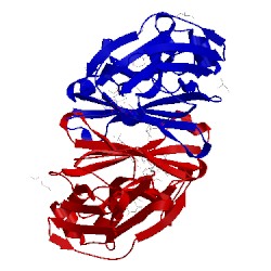Image of CATH 2vuo