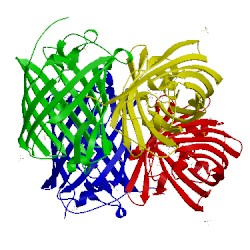 Image of CATH 2vvi