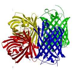 Image of CATH 2vvj