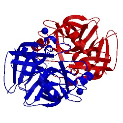 Image of CATH 2vwm