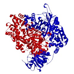 Image of CATH 2vxo