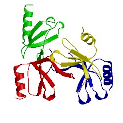 Image of CATH 2vxw