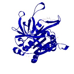 Image of CATH 2vyq