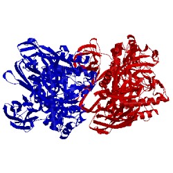Image of CATH 2vzv