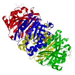 Image of CATH 2vzz